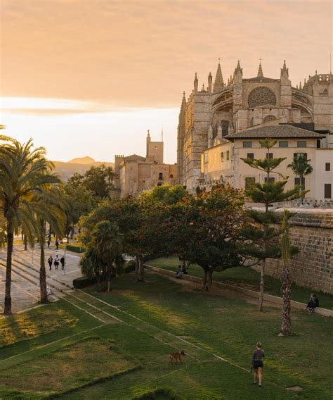 lutron palma mallorca|Find cheap flights from Palma de Mallorca to London .